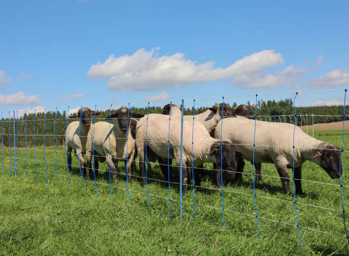 AKO Schafsnetz TitanNet Premium Plus